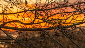 Zachód słońca nad jeziorem Bocznym w Rydzewie, listopad 2025 r. - zdjęcie 17