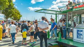 Letni rejs ze statkiem Faryj, sierpień 2024 r. - zdjęcie 27