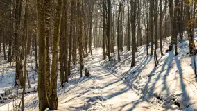 Na jaką zimę czekamy? zobaczcie zdjęcia z kilku lat - zdjęcie 49