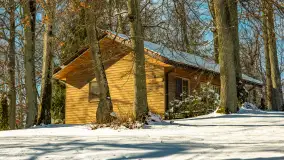 Słoneczna zima w Łabędzim Ostrowiu, luty 2025 r. - zdjęcie 26