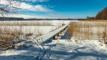 Słoneczna zima w Łabędzim Ostrowiu, luty 2025 r.