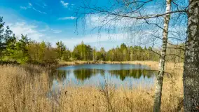 Niewielkie jezioro niedaleko śluzy Długopole, kwiecień 2025 r.