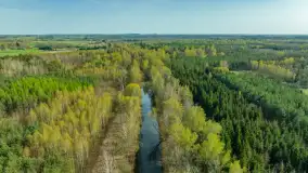 Niewielkie jezioro niedaleko śluzy Długopole, kwiecień 2025 r. - zdjęcie 20