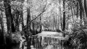 Wkrótce ożywimy AI pocztówki z Kętrzyna / Rastenburg, wracamy do przeszłości - zdjęcie 29