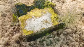 Schrony Kruklaneckiej pozycji umocnieniowej - zdjęcie 31