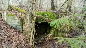 Schrony Kruklaneckiej pozycji umocnieniowej - zdjęcie 34