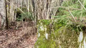 Schrony Kruklaneckiej pozycji umocnieniowej - zdjęcie 38