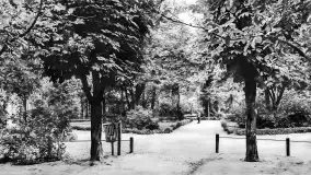 Wkrótce ożywimy AI pocztówki i zdjęcia z Ełk / Lyck, wracamy do przeszłości - zdjęcie 47