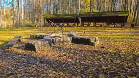 Jesień w lesie miejskim w Giżycku, listopad 2025 r. - zdjęcie 54