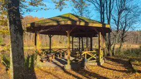 Jesień w lesie miejskim w Giżycku, listopad 2025 r. - zdjęcie 33