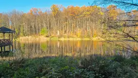 Jesień w lesie miejskim w Giżycku, listopad 2025 r. - zdjęcie 40