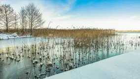 Zima w porcie Resort Niegocin, grudzień 2025 r. - zdjęcie 2