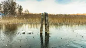 Zima w porcie Resort Niegocin, grudzień 2025 r. - zdjęcie 17