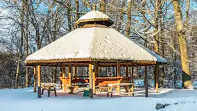 Zima w Łabędzim Ostrowiu w Pięknej Górze, Grudzień 2025 r. - zdjęcie 4