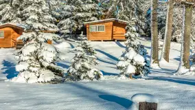 Zima w Łabędzim Ostrowiu w Pięknej Górze, Grudzień 2025 r. - zdjęcie 8