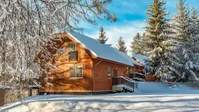 Zima w Łabędzim Ostrowiu w Pięknej Górze, Grudzień 2025 r. - zdjęcie 18