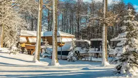 Zima w Łabędzim Ostrowiu w Pięknej Górze, Grudzień 2025 r. - zdjęcie 46