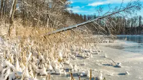 Zima w Łabędzim Ostrowiu w Pięknej Górze, Grudzień 2025 r. - zdjęcie 47