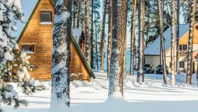 Czy to aby na pewno zima na Mazurach? grudzień 2025 r. - zdjęcie 16