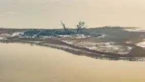 Niegocin skuty lodem w okowach zimowych mgieł, styczeń 2026  - zdjęcie 13