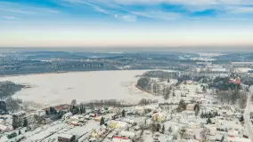 Wilkasy pod śniegiem, styczeń 2026 r. - zdjęcie 28