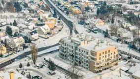 Wilkasy pod śniegiem, styczeń 2026 r. - zdjęcie 7