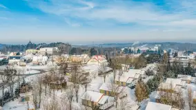 Wilkasy pod śniegiem, styczeń 2026 r. - zdjęcie 14