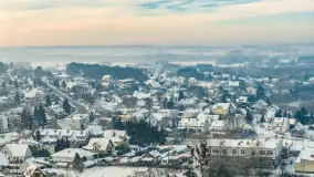 Wilkasy pod śniegiem, styczeń 2026 r. - zdjęcie 6