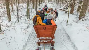 Kulig w puszczy Piskiej razem z OW Wodnik, Ruciane-Nida, Styczeń 2026 r.