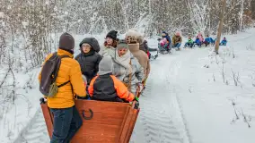 Kulig w puszczy Piskiej razem z OW Wodnik, Ruciane-Nida, Styczeń 2026 r. - zdjęcie 41