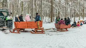 Kulig w puszczy Piskiej razem z OW Wodnik, Ruciane-Nida, Styczeń 2026 r. - zdjęcie 28