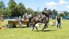 Zdjęcia: Zimnokrwiste rozgrzały serca publiczności - zdjęcie 32