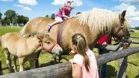 Zdjęcia: Zimnokrwiste rozgrzały serca publiczności - zdjęcie 12
