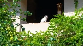 Zdjęcia: Hulańce i swojskie jadło w doborowym towarzystwie - zdjęcie 55