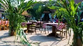 Zdjęcia: Hulańce i swojskie jadło w doborowym towarzystwie - zdjęcie 54