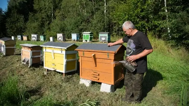 Zdjęcia: Odwiedzamy leśną pasiekę, czyli Mazury na słodko - zdjęcie 3
