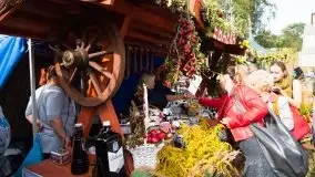 Zdjęcia: Mazurscy rolnicy dziękują za plony  - zdjęcie 23