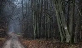 Zdjęcia: Miłośnicy Mazur - Maison du Temps - "Mazury na piechotę" - zdjęcie 12