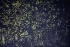 Zdjęcia: Miłośnicy Mazur - Maison du Temps - "Mazury na piechotę" - zdjęcie 3