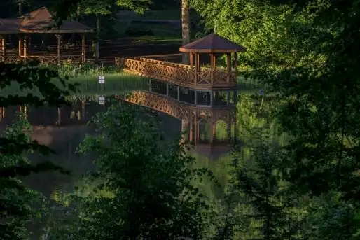 Z zamiłowania do przyrody, w fotografii Mariusza Kulisia - zdjęcie 6