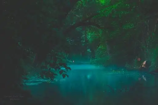 Z zamiłowania do przyrody, w fotografii Mariusza Kulisia - zdjęcie 8