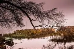 Zdjęcia: Miłośnicy Mazur - Pasja Fotografii w galerii Tomasza Ziółkowskiego - zdjęcie 26