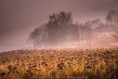 Zdjęcia: Miłośnicy Mazur - Pasja Fotografii w galerii Tomasza Ziółkowskiego - zdjęcie 21