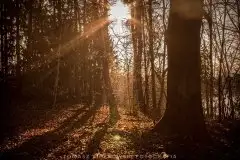 Zdjęcia: Miłośnicy Mazur - Pasja Fotografii w galerii Tomasza Ziółkowskiego - zdjęcie 1