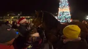 Zdjęcia: Węgorzewo w świątecznym blasku  - zdjęcie 23