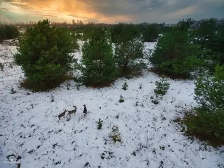 Zdjęcia: Miłośnicy Mazur - Obłędnie z lotu ptaka, Paweł Adamski - zdjęcie 7
