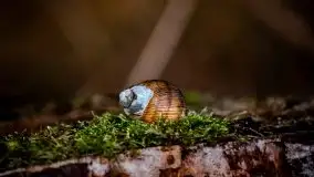 Zdjęcia: Miłośnicy Mazur - Zwykłe, czy niezwykłe... życie - zdjęcie 28