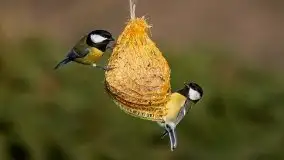 Zdjęcia: Miłośnicy Mazur - Zwykłe, czy niezwykłe... życie - zdjęcie 19