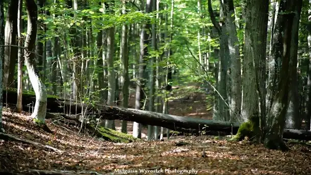 Zdjęcia: Miłośnicy Mazur - Zwykłe, czy niezwykłe... życie - zdjęcie 11