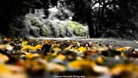 Zdjęcia: Miłośnicy Mazur - Zwykłe, czy niezwykłe... życie - zdjęcie 8